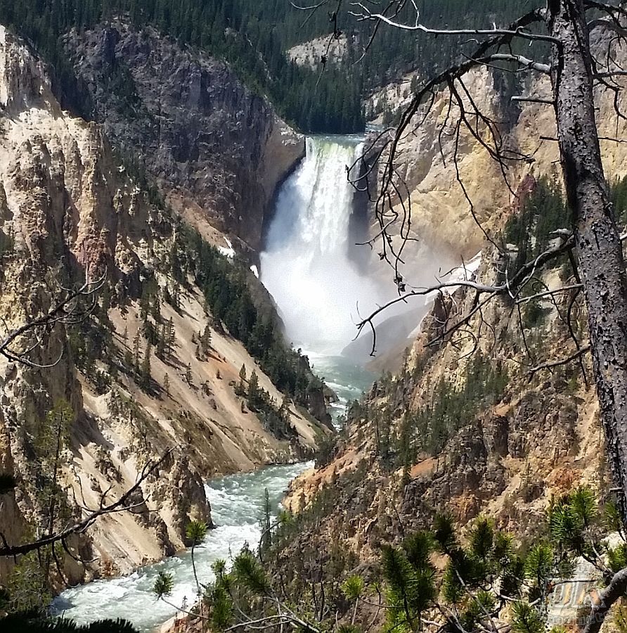 Day 19- Yellowstone & Cooke City