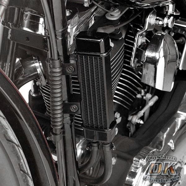 Sportster Sportster