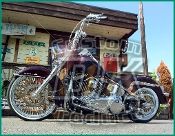 Softail