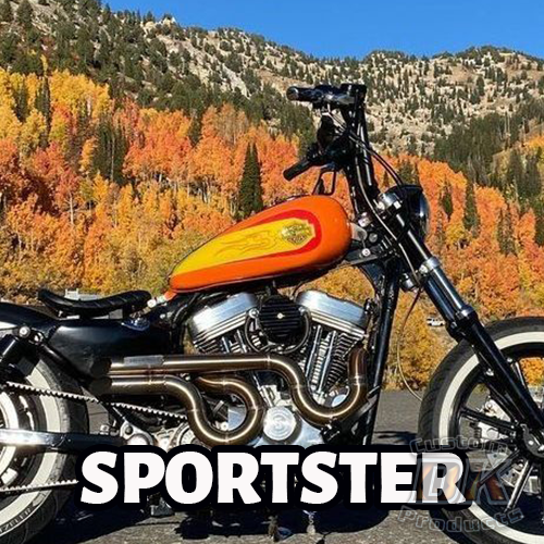 Sportster Model Air Cleaner Systems