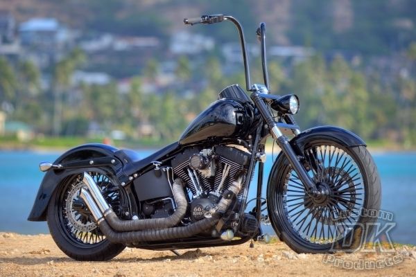 Softail Entries