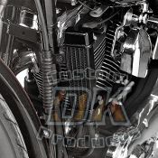 FXR