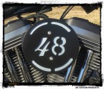 Forty Eight 3-D Flake Complete HiFlow 587 Air Cleaner Sportster Sportster Harley Davidson High Flow Air cleaner DK Custom Nightster Iron 48 Custom Low SuperLow Stage I K&N EFI Carbureted Complete High Performance Intake