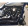 DK Custom Triple Trap FOOTPEGS Harley-Davidson Motorcycles Sportsters-Dynas-Softails-V-Rod's Super gripper Series Improve Lean Angle Adjustable