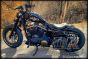 DK Custom PREMIUM TANK LIFT KIT FITS SPORTSTERS 1995-UP  NIGHTSTERS~IRONS~48'S~72's~SuperLow~Low~Custom