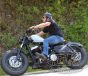 DK Custom License Plate Bracket - Vertical Mount Tail Light Harley Sportster Dyna Softail left OR right side