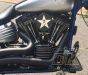Mirror Finish STAR INTERCHANGEABLE Face Plate Covers AND Emblems Outlaw  High Flow 587 Air Cleaners High Performance Stage 1 Ness Big Sucker Harley Davidson