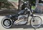 DK Custom Slam Your Ride!  BEEFY Struts Sportster Dyna Nightster Iron 48 Lowering Kit Harley Davidson Rigid