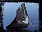 DK Custom Front Chin Spoiler Air Dam Fairing for Harley Dyna Made in The USA Harley-Davidson Dougz Wide Glide Superglide Low Rider