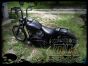 DK Custom Triple Trap FOOTPEGS Harley-Davidson Motorcycles Sportsters-Dynas-Softails-V-Rod's Super gripper Series Improve Lean Angle Adjustable