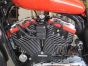 04-06 Coil and Ignition (Key) Harley-Davidson FITS SPORTSTERS 2004-2006  Relocation Kit DK Custom better air flow runs cooler Sportster Roadster 72 48  Nightster Flex six F-6