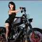 Black Cyclone Cage Transparent cover Outlaw  HiFlow 587 Air cleaner Sportster Harley Davidson High Flow Air cleaner DK Custom Nightster Iron 48 Custom Low SuperLow Stage I K&N EFI Carbureted Complete High Performance