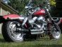 DK Custom Dyna 1