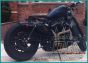 DK Custom Slam Your Ride!  BEEFY Struts Sportster Dyna Nightster Iron 48 Lowering Kit Harley Davidson Rigid