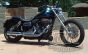 DK Custom SGS Bear Trap Harley Softail Dyna Sportster Touring Footpeg Foot Peg Highway Peg Bear Trap