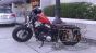 DK Custom Slam Your Ride!  BEEFY Struts Sportster Dyna Nightster Iron 48 Lowering Kit Harley Davidson Rigid