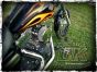 DK Custom Triple Trap FOOTPEGS Harley-Davidson Motorcycles Sportsters-Dynas-Softails-V-Rod's Super gripper Series Improve Lean Angle Adjustable