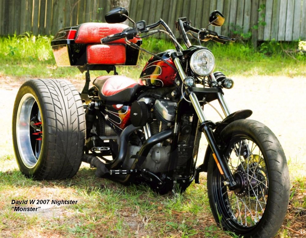 David W Trike