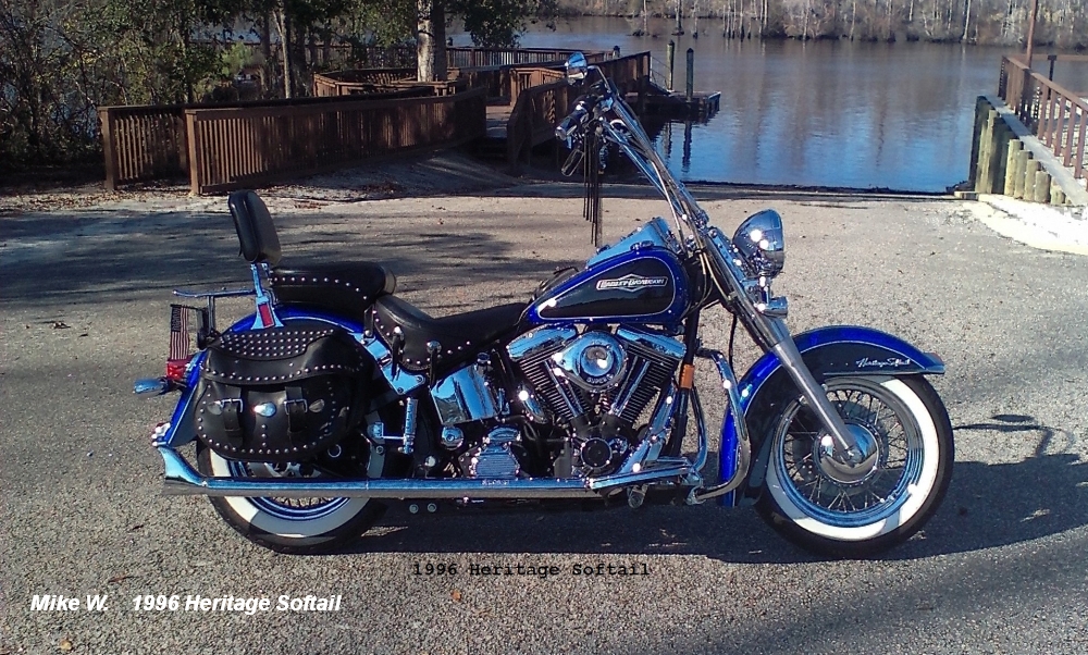 Mike W softail