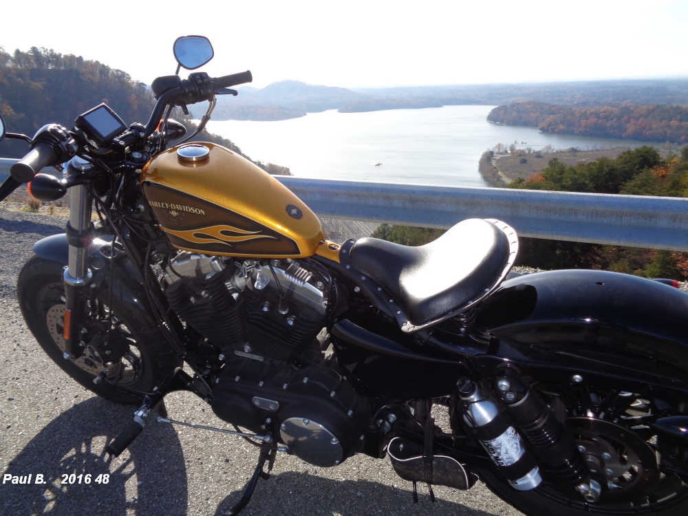 Paul B Sportster