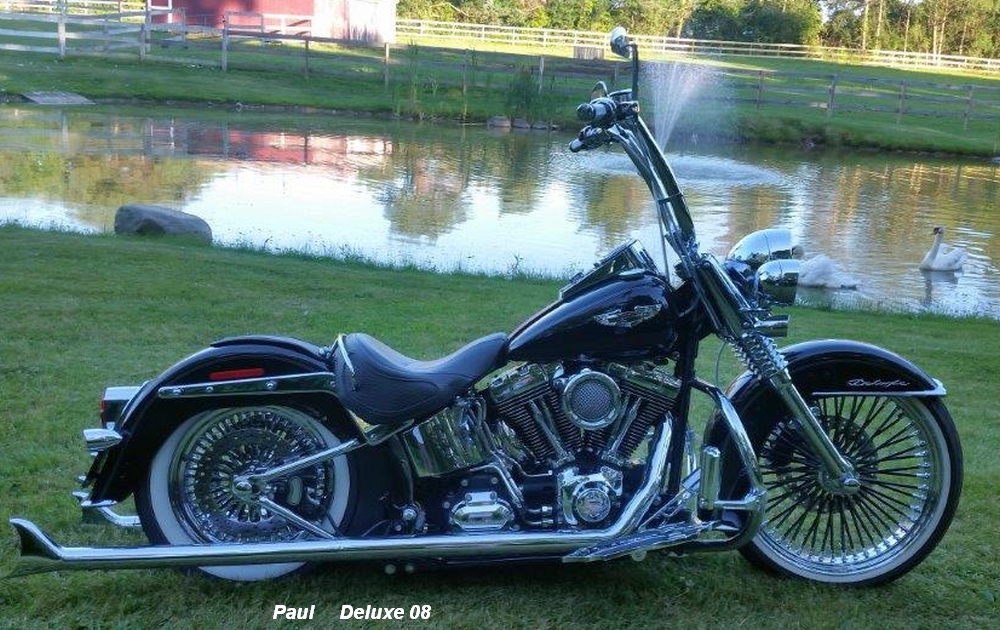 Paul Softail