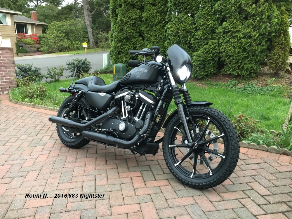 Ronni N Sportster