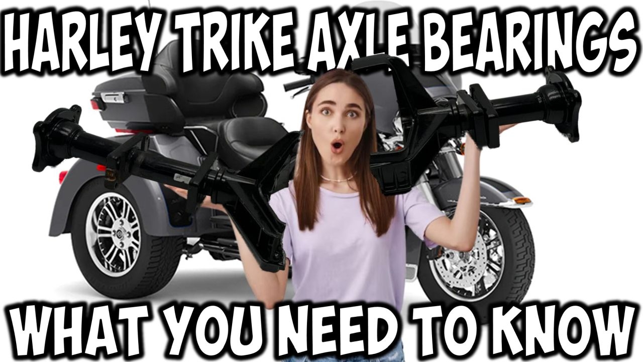 top 10 dyna parts